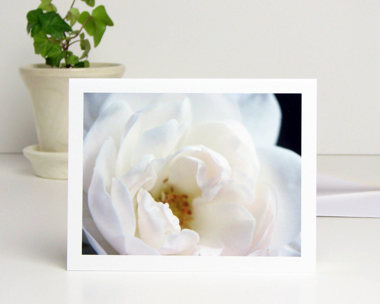Flower Photography Note Card Soft White Sea Foam Rose Petals, blank notecard romantic dreamy photograph wedding stationery