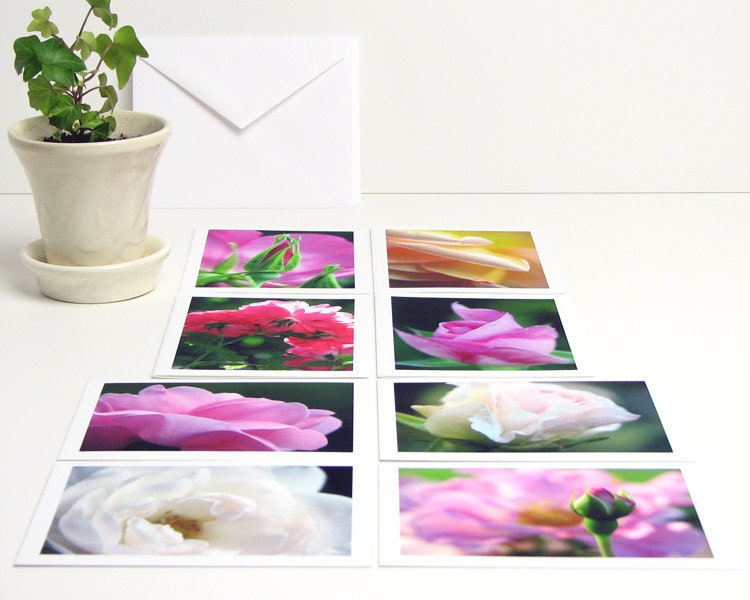 Rose Flower Photography Note Cards Boxed Set of Eight (8) blank a2 card floral photo all occasion stationery pink peach white