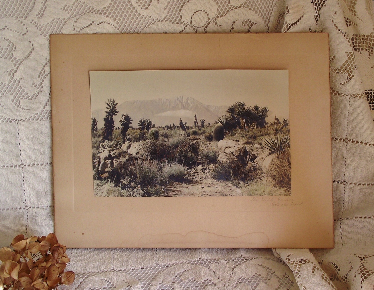 SALE - The Devils Garden Colorado Old Photograph Hand Colored Print