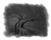 Fantasy Tree  1   11x14 print