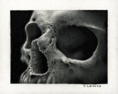 Skull Study 8x10 print