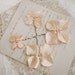 Shimmering sands - hydrangea and pearl bobbies set of 4