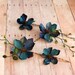 Wood sprite - deep teal blossom bobbies