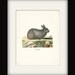 Woodland Rabbit Art Print- Le Lapin Print Wall Decor Illustration 8x10