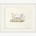 Sheep - Vintage Lamb Print Nature Wall Decor Art Illustration  8x10