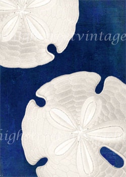 Sea Shells ACEO Collage Wall Decor Print, Matted to 8x10