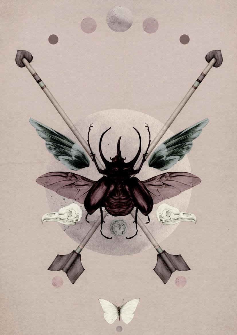 Wunderkammer A3