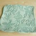 Botanical/ Bird Dessert Plate