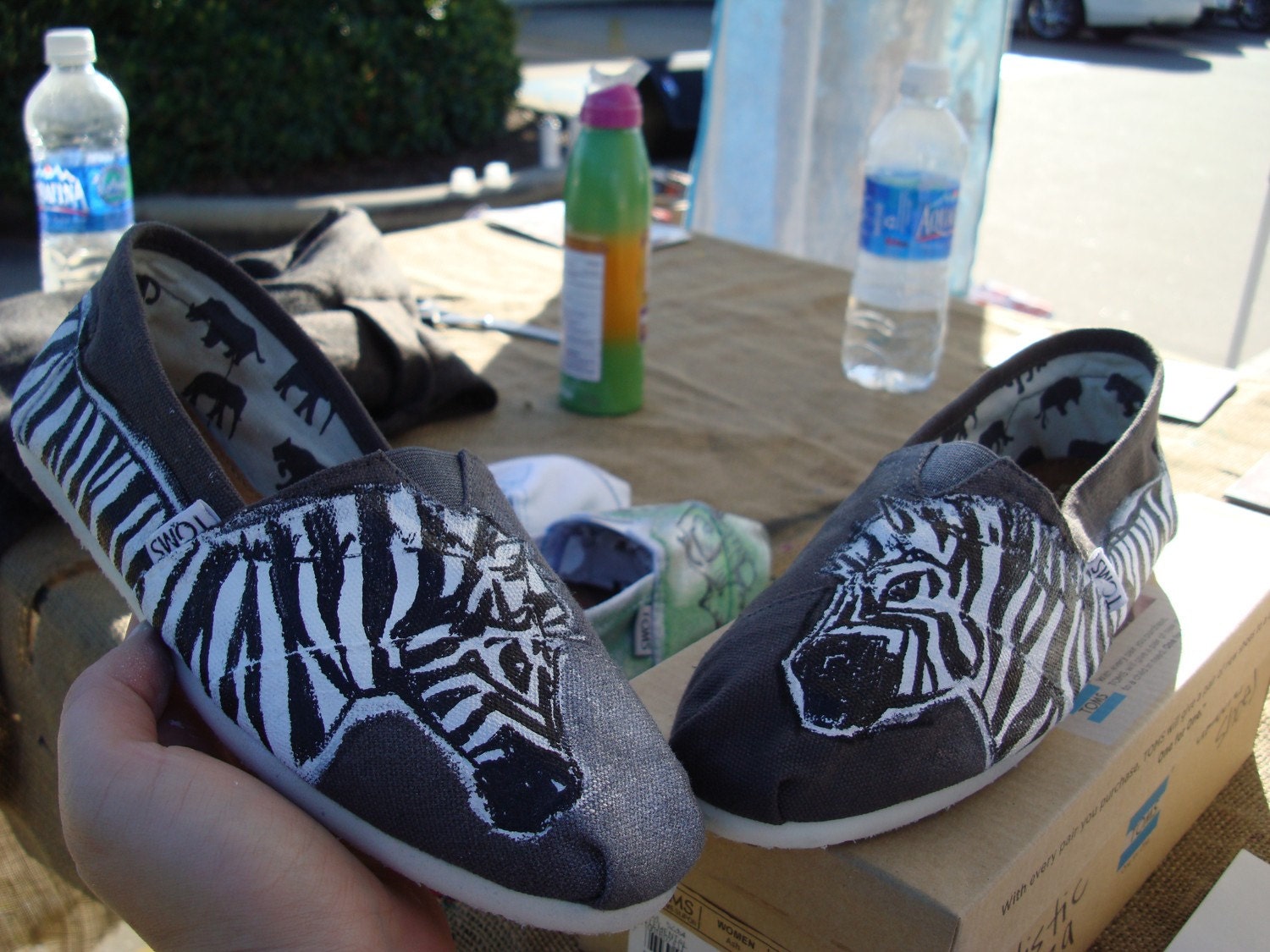 toms shoes zebra