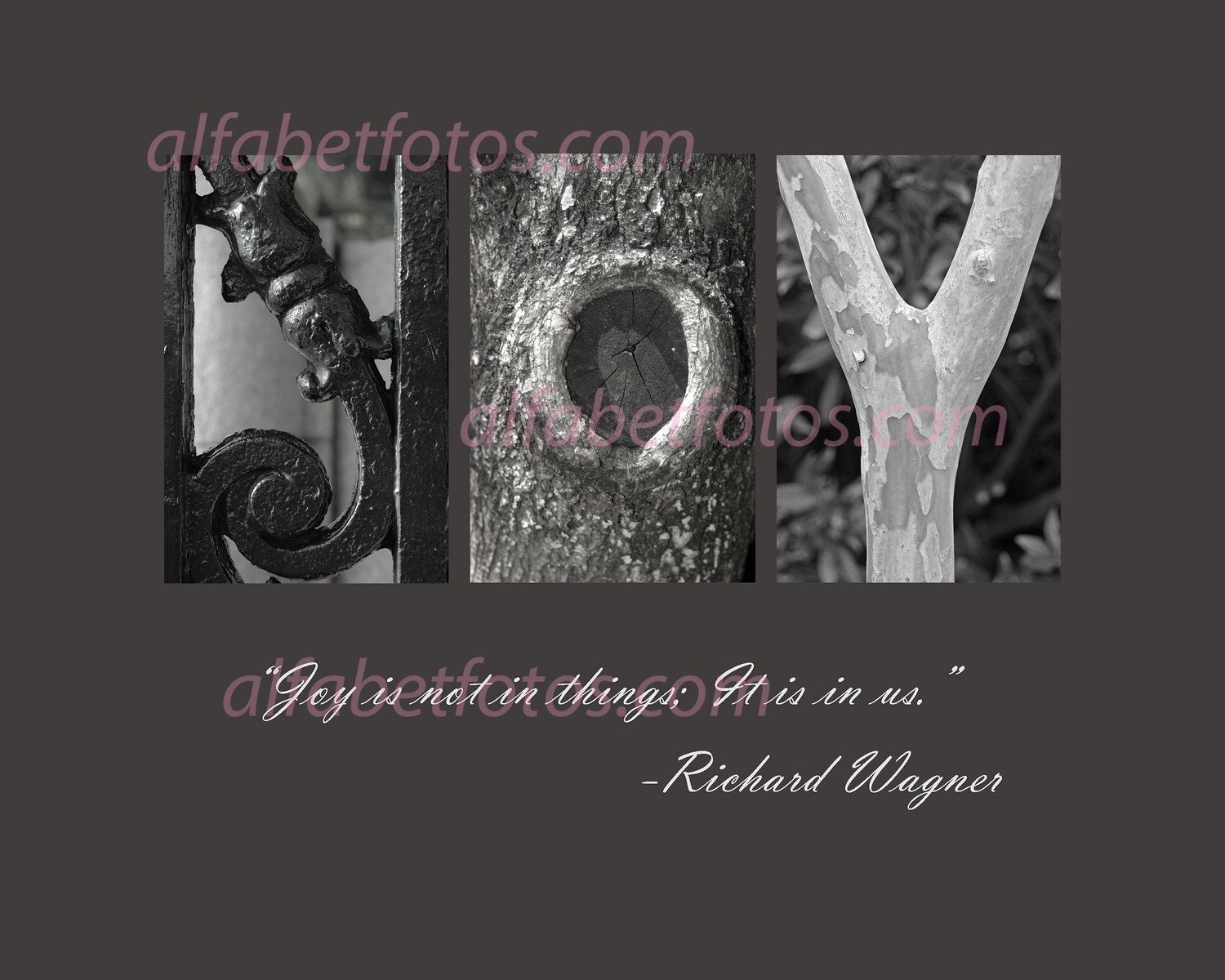Alphabet Letter Photography Home Decor Art - Joy...