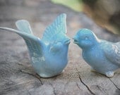 Bird Wedding cake toppers in robins egg blue  love birds in a wedding dance