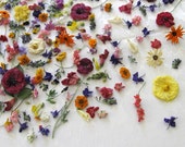 dried flowers wedding toss