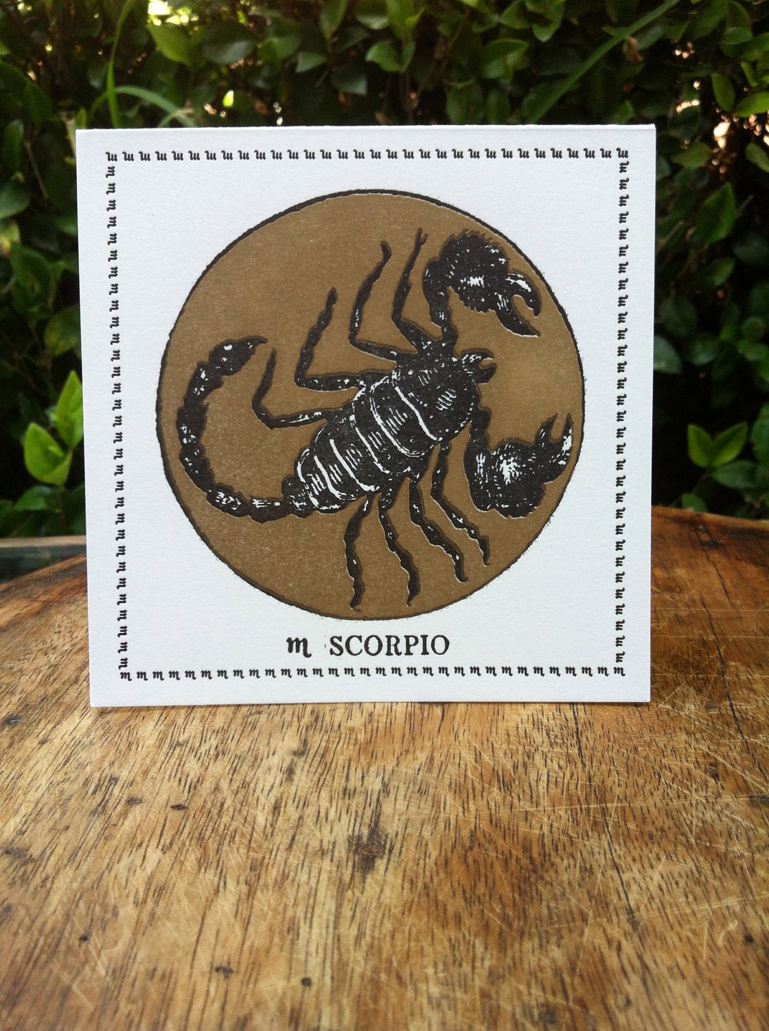 Zodiac Card ... SCORPIO . October 23 - November 21 //// Hand Letterpressed