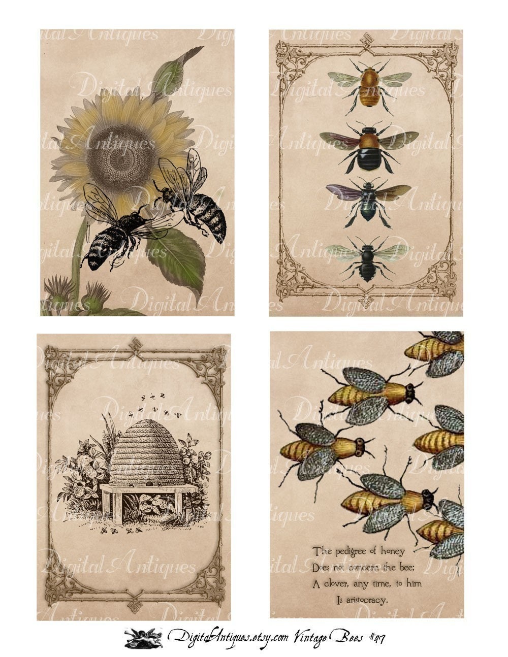 Vintage Bees Printable Images Digital Download