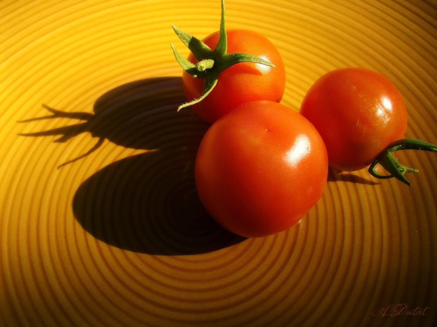 Abstract Tomato