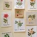 New Edition. Master Collection Kazuko Aoki 10 - Roses Roses - Japanese embroidery craft book