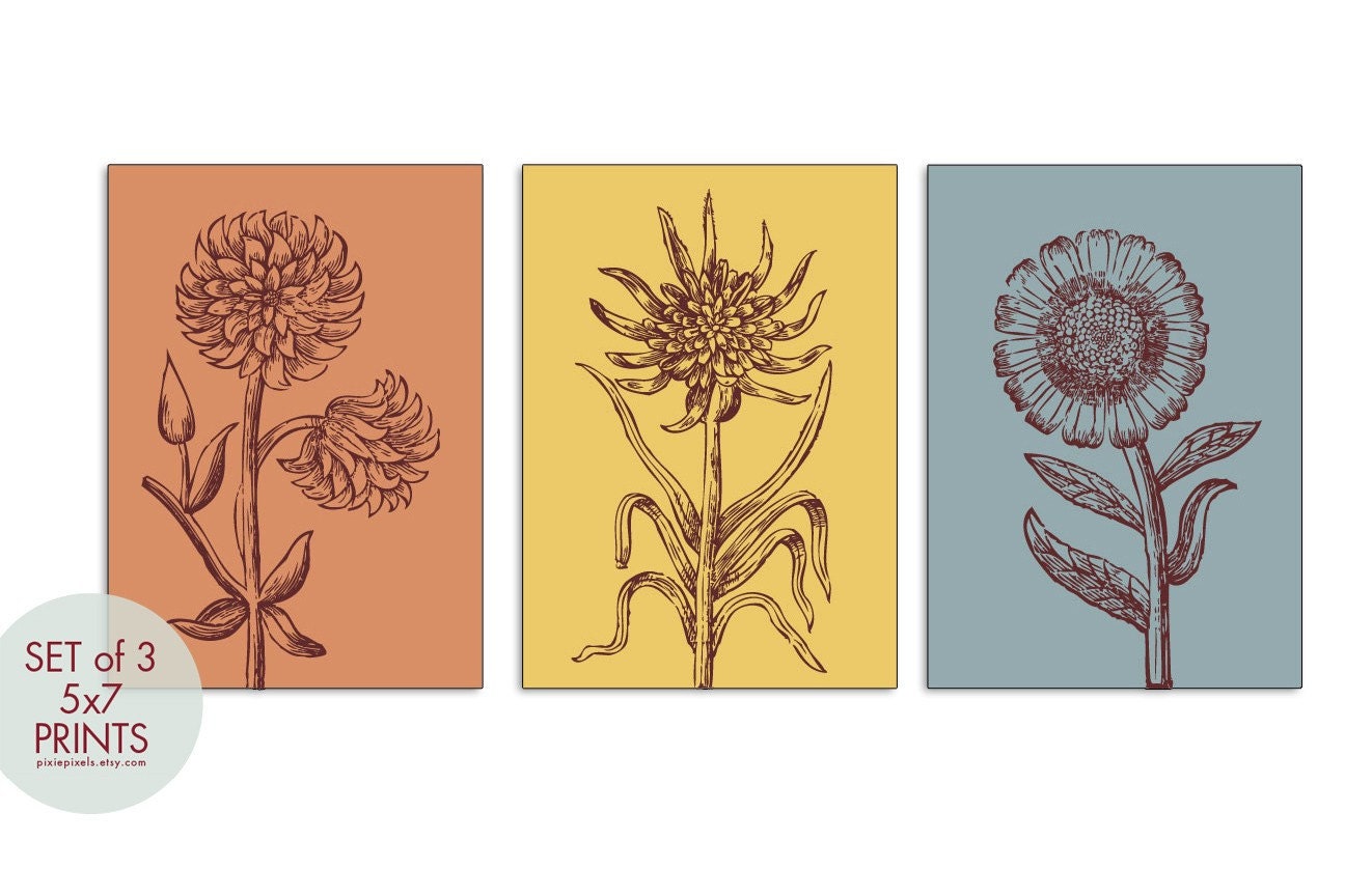 Wild Flowers Botanical Prints (series B) -Set of 3-5x7-(Colors are Warm shades of blue, yellow and Tuscan Orange)