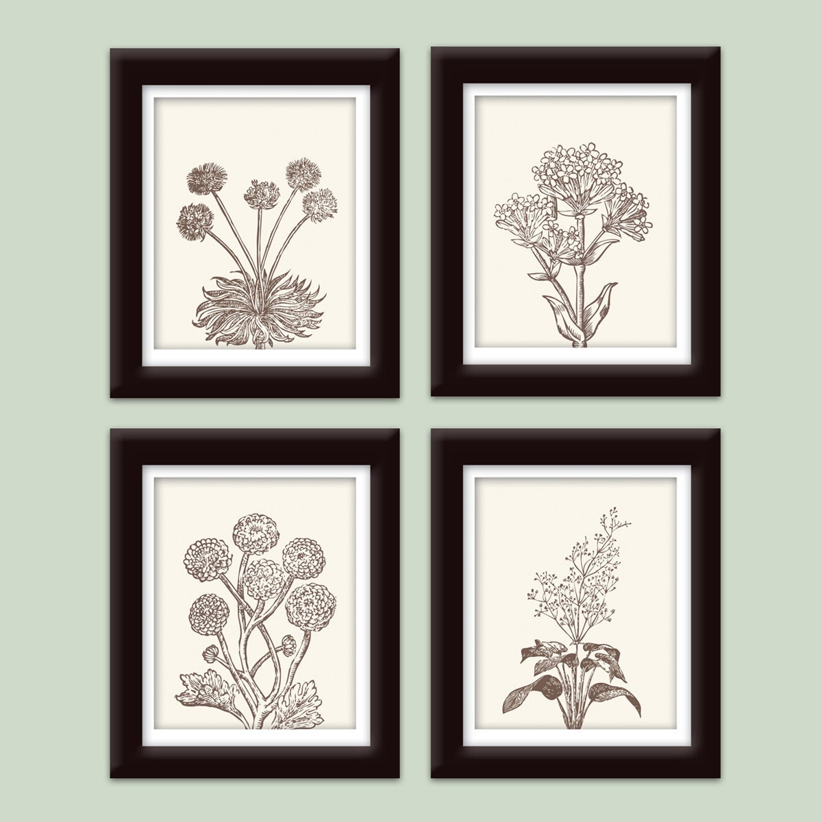 Wild Flowers Botanical Prints (Series C)-Set of 4-8x10-(Featured in Cream and Chocolate Brown)