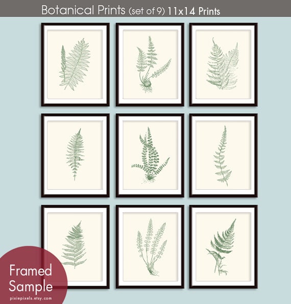 Ferns Garden Botanical Prints (Series E)-Set of 9 -11x14 Prints -(Featured in Cream and Thyme Green)
