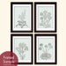 Wild Flowers Botanical Prints (Series C)-Set of 4-5x7-(Featured in Pale silver sage and Charcoal)