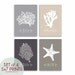 Underwater Sea Coral Collection (Series A) -Set of 4 - 5x7 - (Nautical Beach Inspired Theme) Customizable colors