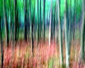 Abstract Photograph, Forest Trees, Nature, Blue and Green, Fine Art Wall Hanging, Landscape Photography, Pastel, 16X20 Mat