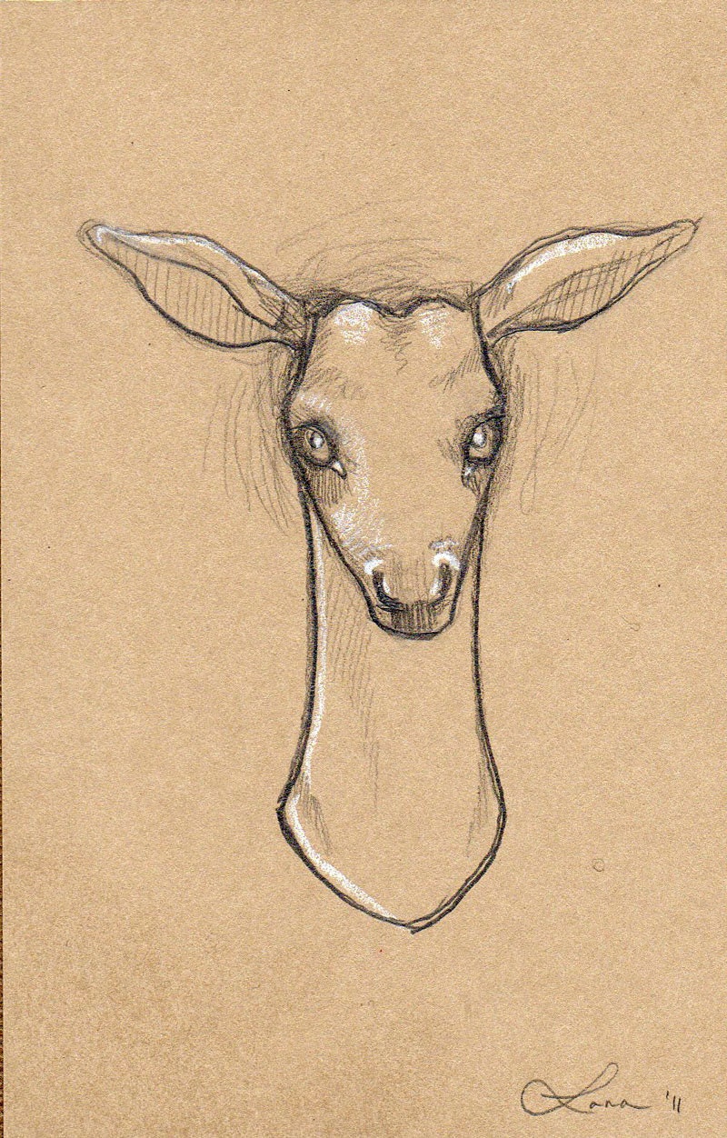 Doe Sketch - Framed original Graphite