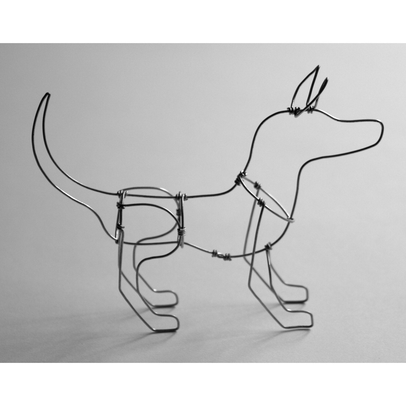 Dog Wire