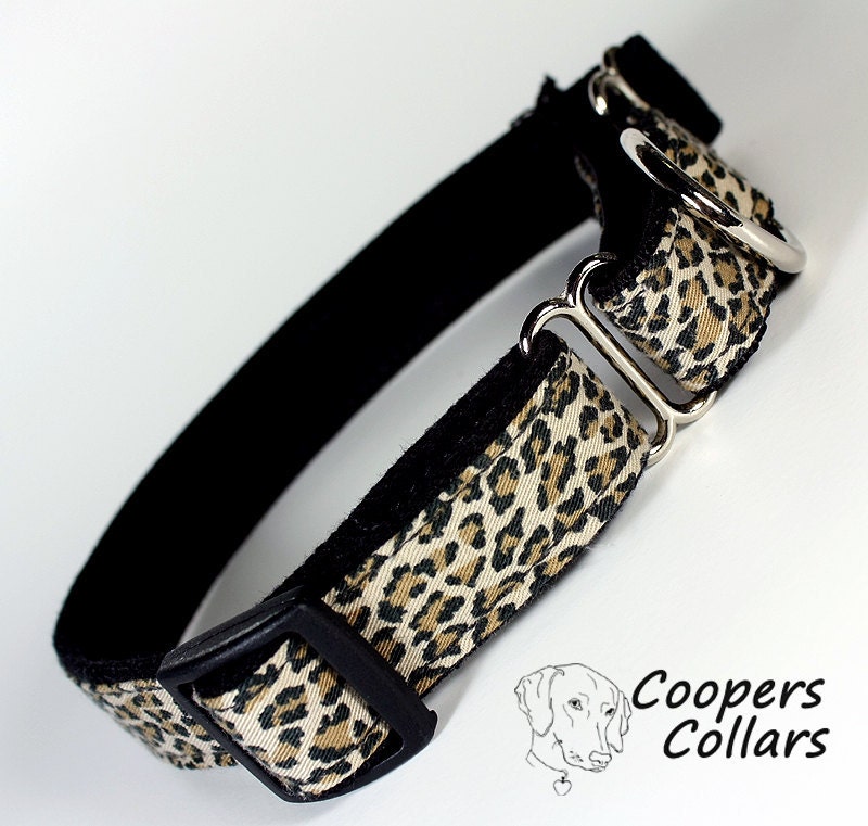 Martingale Dog Collar, Leopard, Denim, No.70m