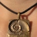 Nautilus Bronze Pendant