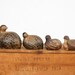 Vintage Quail set of four 4...Sale Price Reduced
