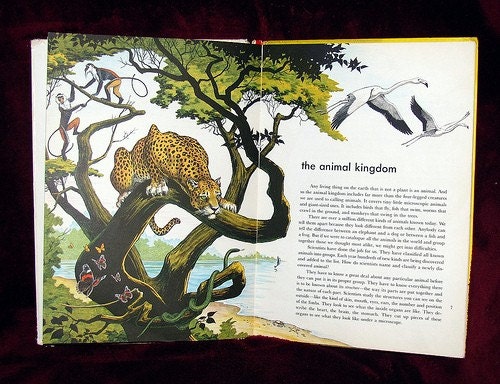 vintage children's book, Exploring the Animal Planet, copyright 1957