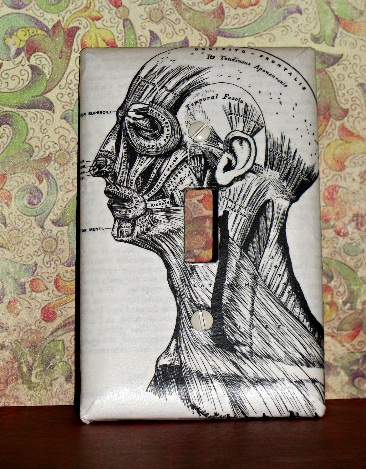 medical specimen on a light switch cover