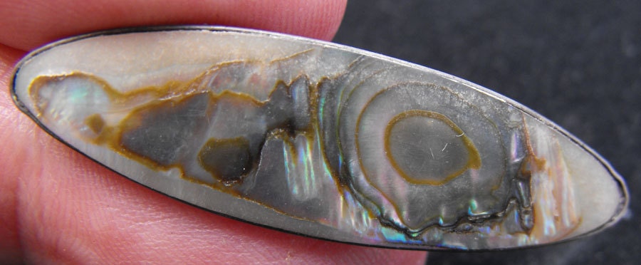 Vintage Abalone Lapel Pin