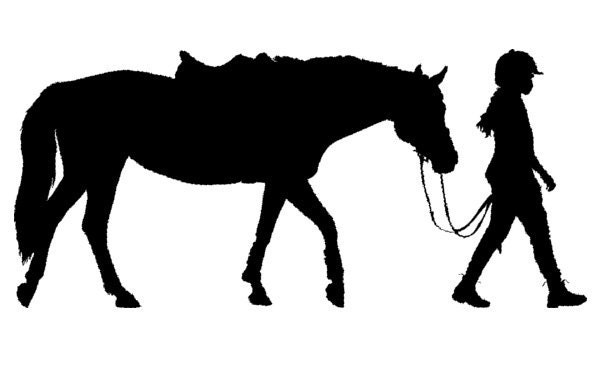 Horse decal-Kids room decor-Girls room decor-Horse and rider decal-Vinyl wall decal-28 X 13 inches