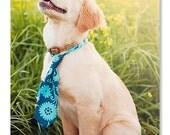 Dapper Dog Necktie- choose any print from my shop