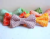 The Beau- Fall collection double stacked bow ties for men- choose your favorite print