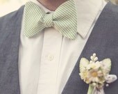 The Beau- men's green striped seersucker freestyle bow tie- lots of  available colors
