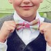 The Beau- picnic plaid bow tie for boys of all ages- choose your favorite plaid