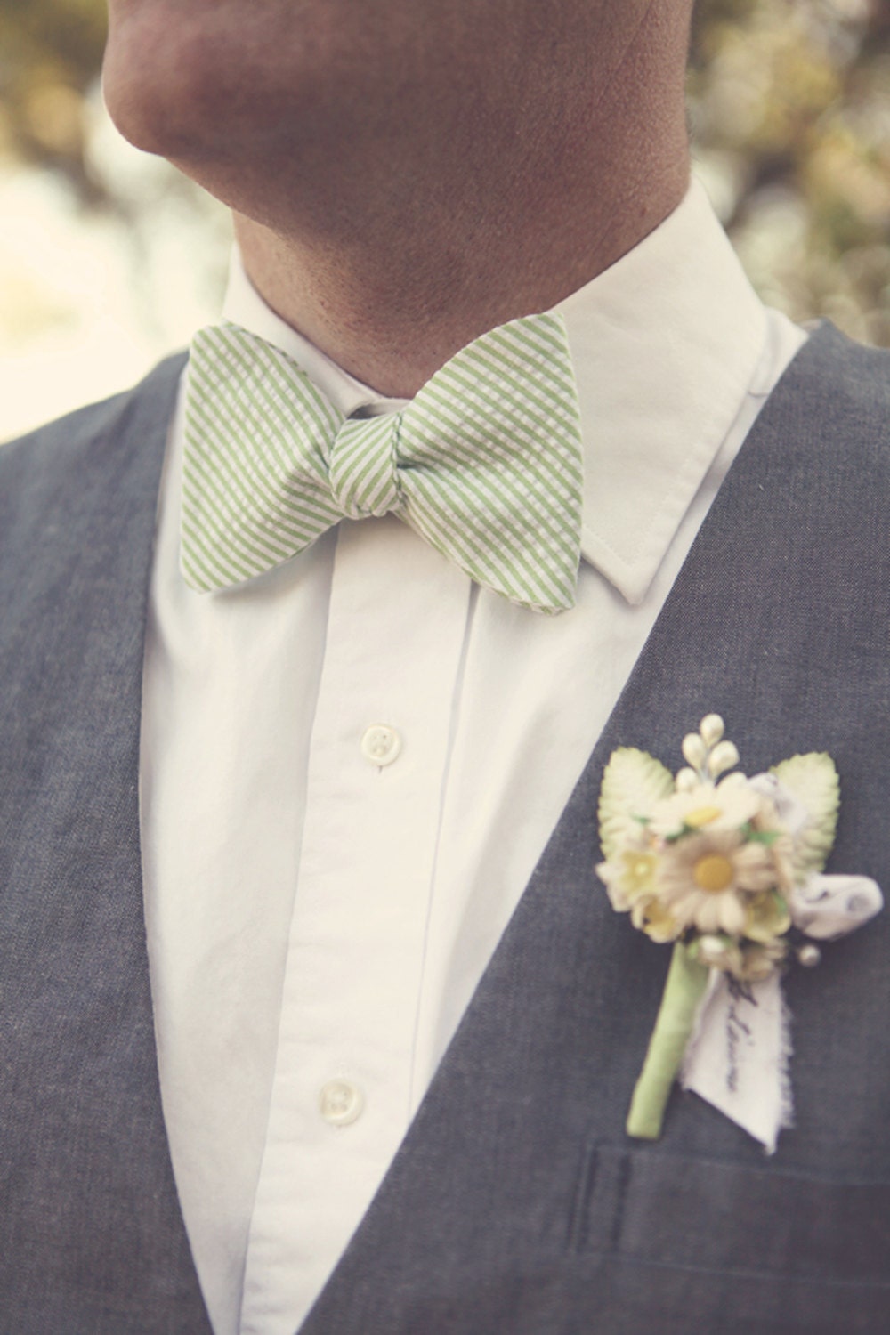 The Beau- men's green striped seersucker freestyle bow tie- lots of available colors