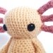 Axolotl - Amigurumi Crochet Pattern