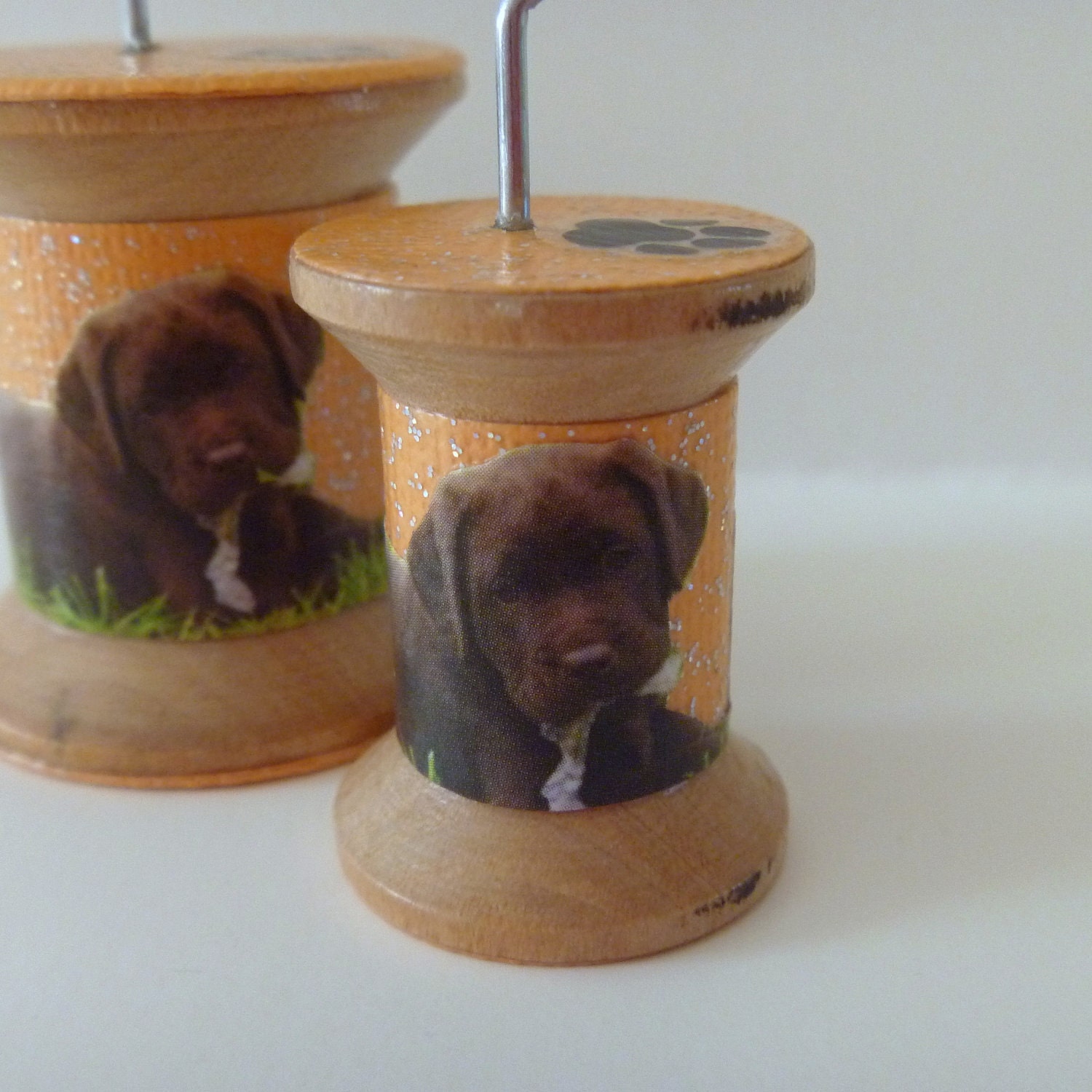 FREE SHIPPING - Chocolate Lab on Orange Sparkle - Cool Spools