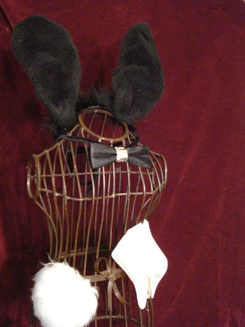 playboy bunny costume with tail