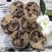6 Spalted Maple Wood Wooden Tree Branch Buttons - 1 1/2 inches, 2 Holes, For hand knits, journals, and pillows