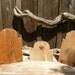 Craft Booth Necklace Display Stand from Reclaimed Wood
