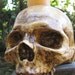 Aged Human Skull Candle Holder - Natural Style A - RESERVED for blueblonde13