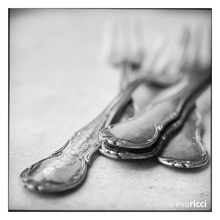The Finest - 8x8 Fine Art Photography Print - Eva Ricci