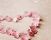 Love Is - Fine Art Photo- Eva Ricci Studio- 8x8 - Pink hydreangea heart