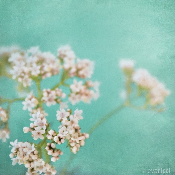 Tiny Flowers