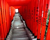 Torii Gates. Tokyo, Japan. - 5x7 fine art photography print
